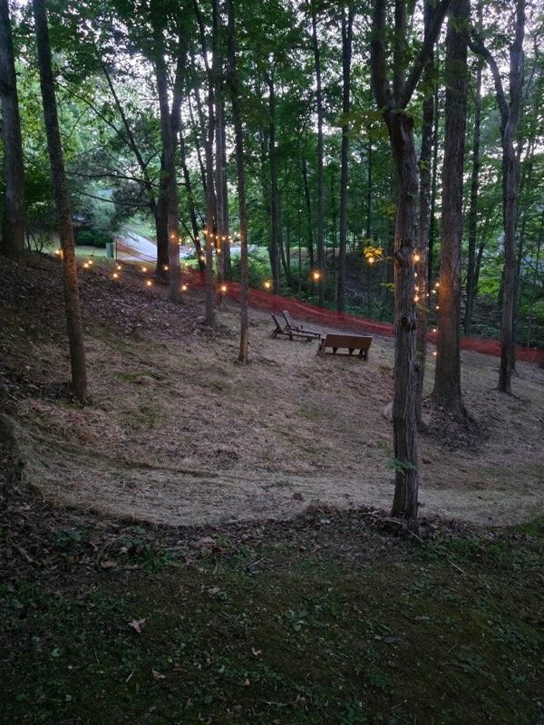 Forest hillside with trees, lit pathway, and wooden benches at dusk