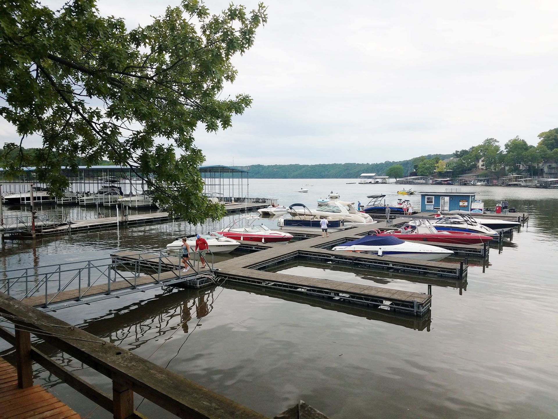 Marina with docked boats on a calm lake, viewed from a shaded shoreline with trees and docks.