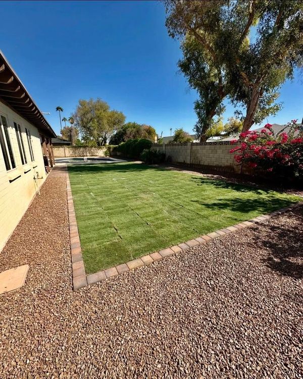 Sunny backyard with green lawn, gravel path, trees, and a yellow house wall