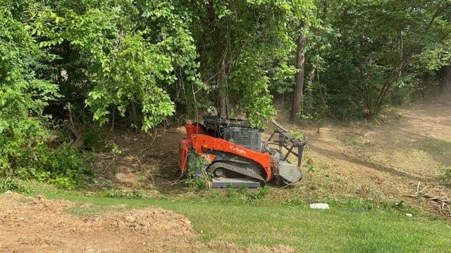 Orange excavator clearing dirt beside a wooded path in a green outdoor area