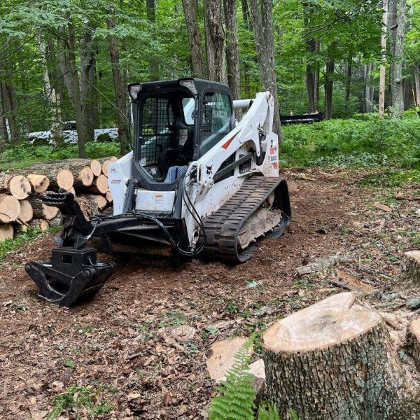 A bulldozer is sitting in the middle of a forest next to a pile of logs.