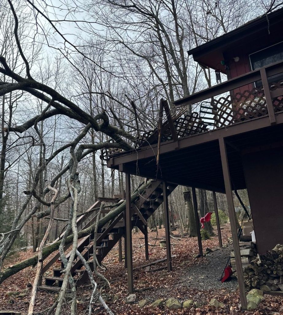 A house with a deck and stairs in the woods.
