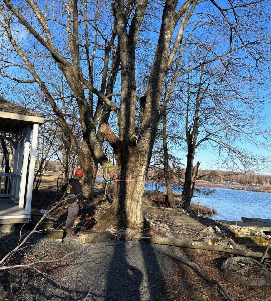 A man is cutting down a tree next to a gazebo.