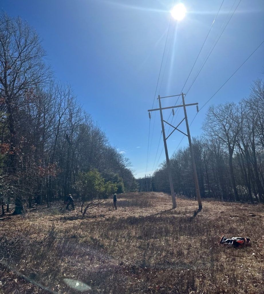 A power line in the middle of a field with trees in the background.
