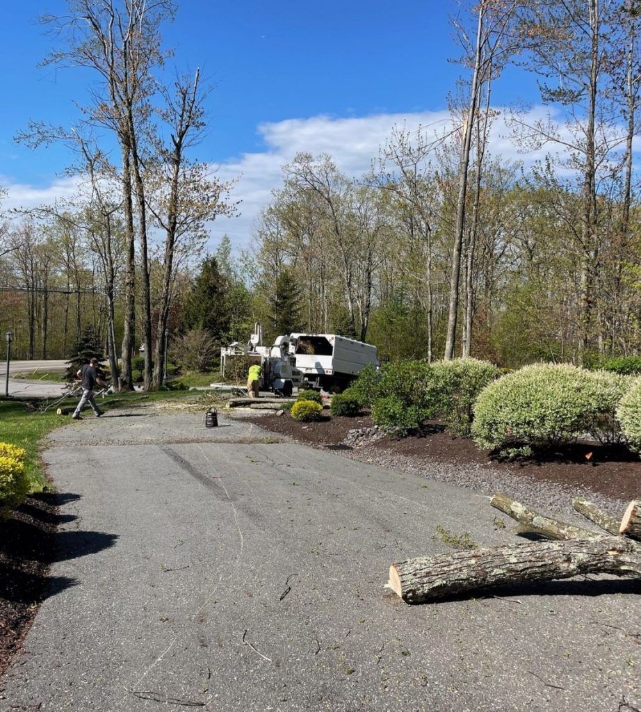 A truck is driving down a road next to a tree.