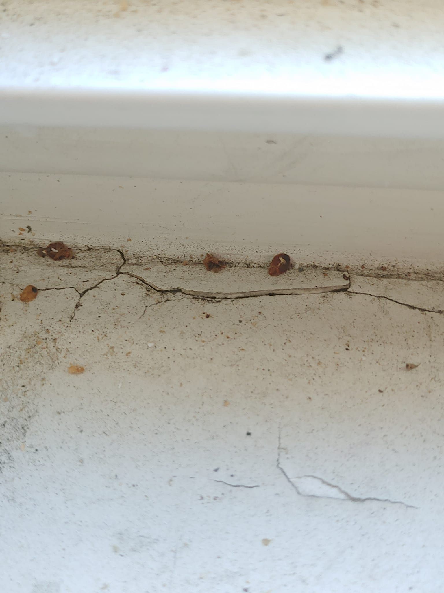 Close-up of a white wall with a horizontal crack, rust-colored stains, and peeling paint