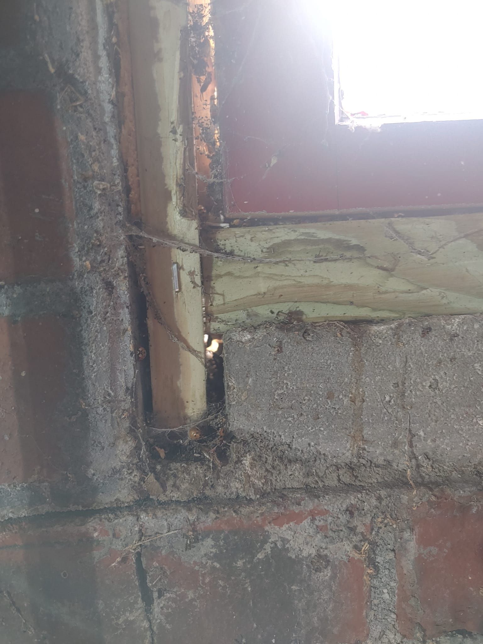 Close-up of a weathered window corner with peeling paint, rust stains, and concrete wall texture