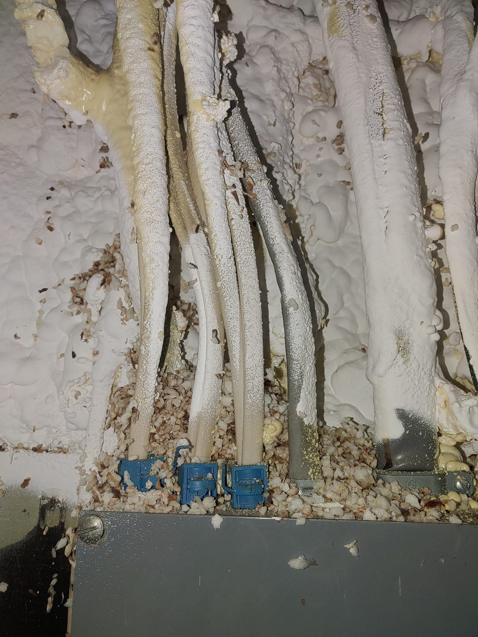 Exposed electrical wires emerging from a wall above blue connectors and debris.
