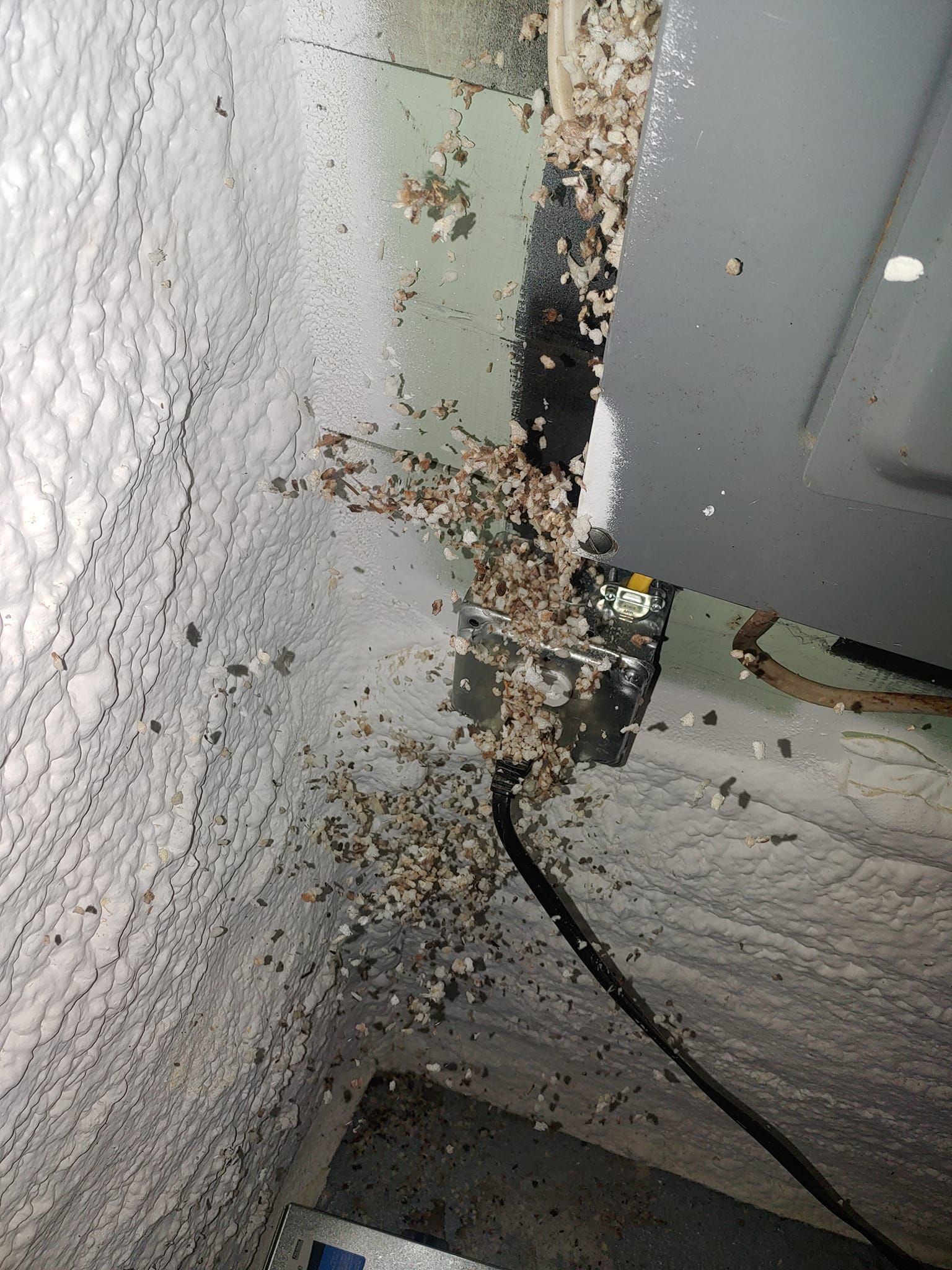 Peeling paint and mold on a wall corner near a gray panel, with a black cable hanging down.