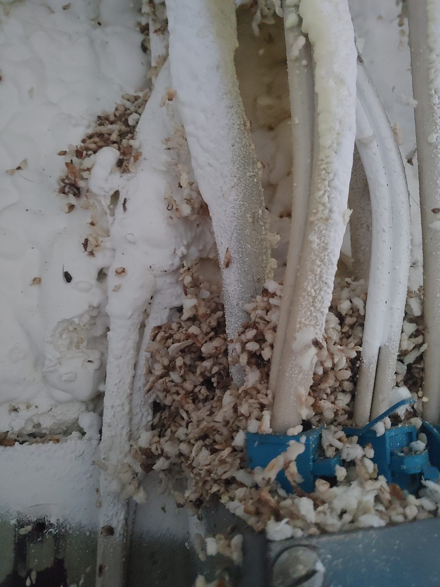 Frost-covered cables and pipes on a snowy surface, with debris and a blue fitting at the bottom.