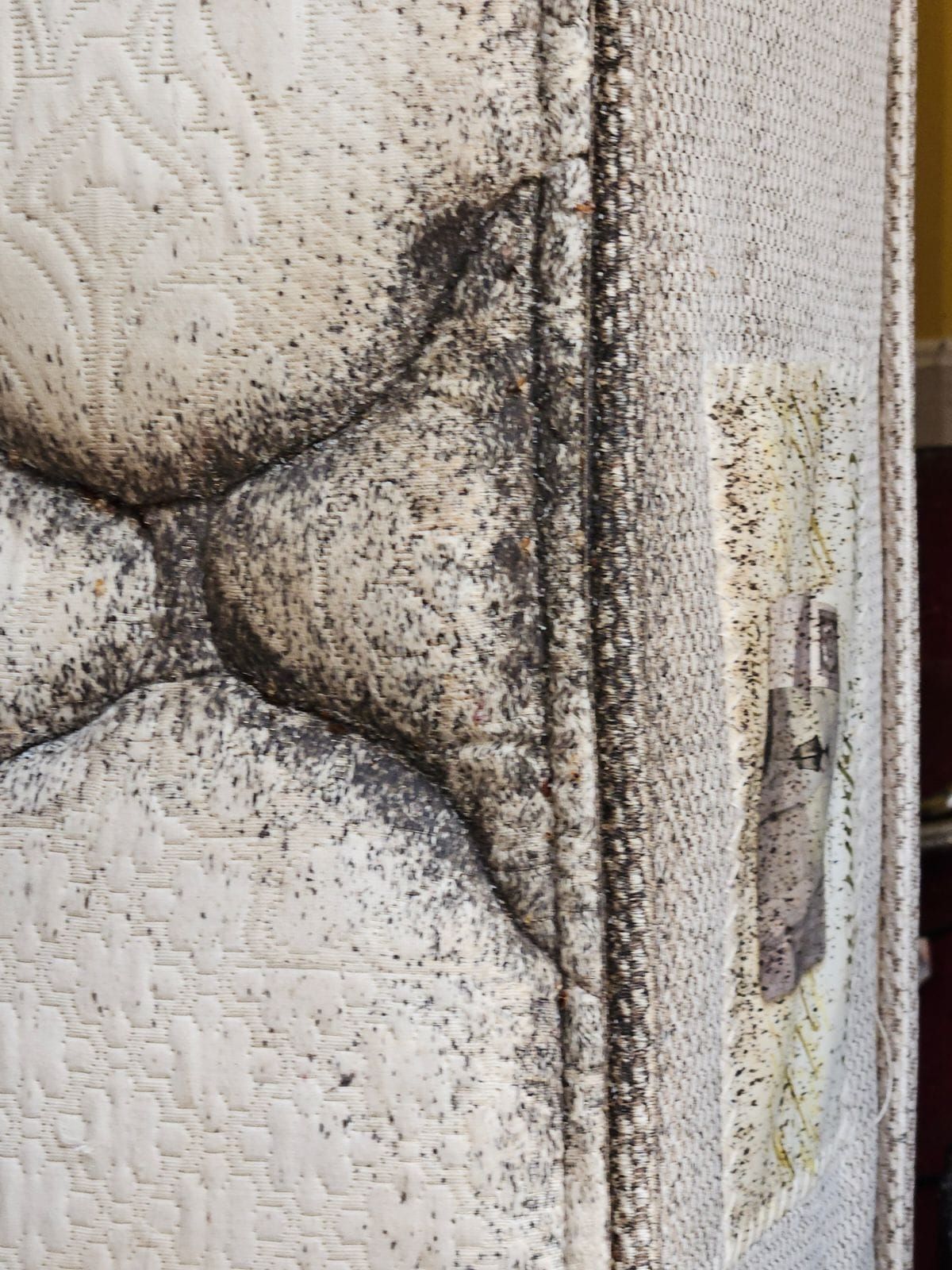 Close-up of a dirty off-white upholstered cushion with a latch on the side.
