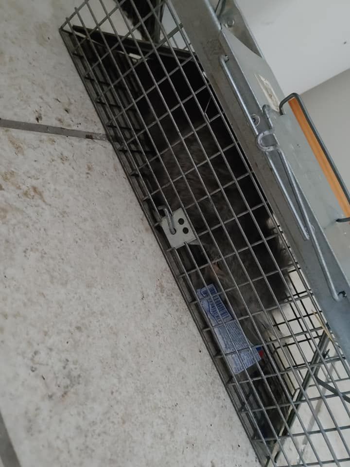 Metal grate covering a recessed floor opening with stored items visible beneath.