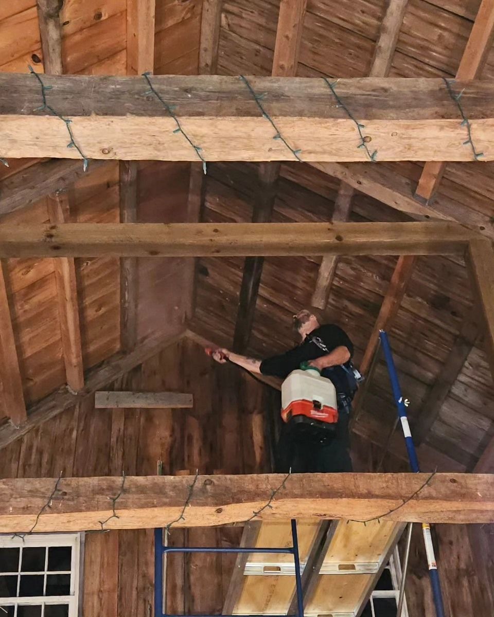 Person in a black shirt working in an unfinished attic with exposed wooden beams.