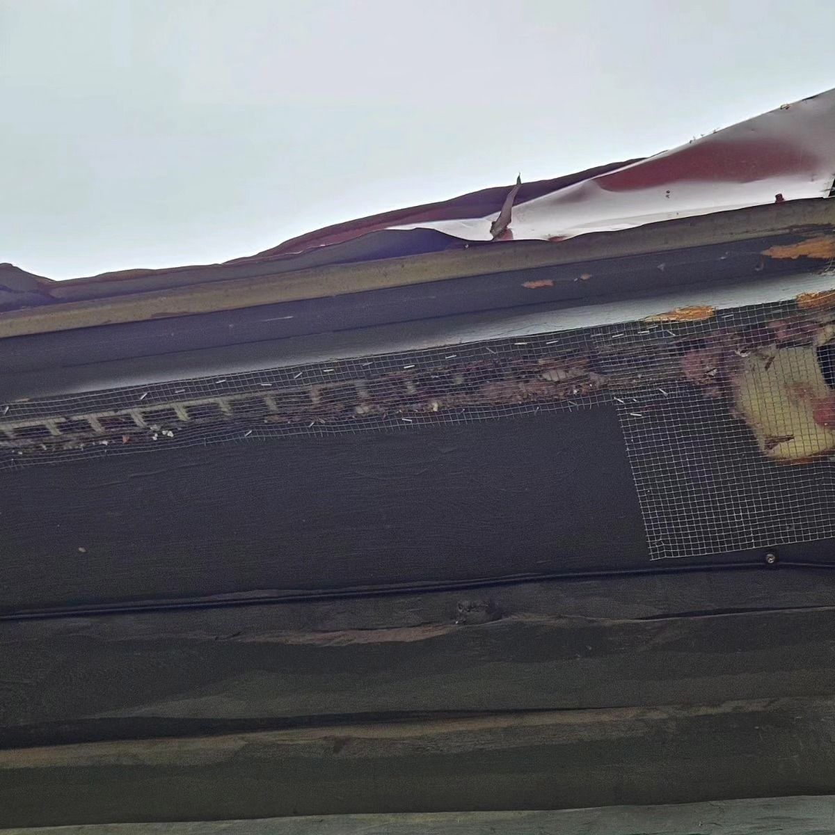 Close-up of a dark textured surface with a red-and-white fabric edge above it.