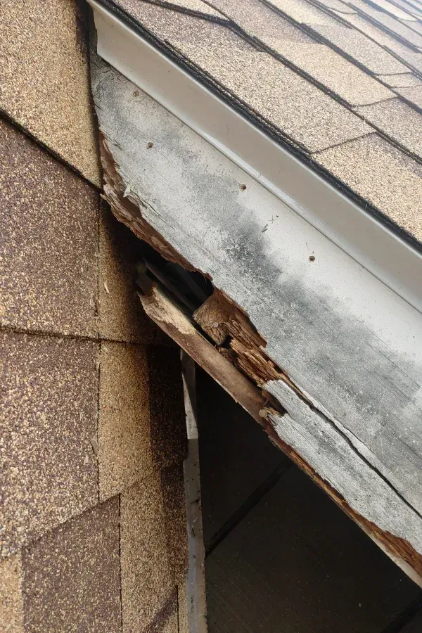 Damaged roof edge with rotted wood and missing trim beside brown shingles