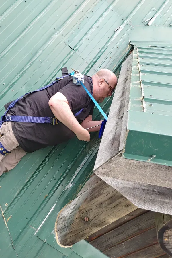 Worker repairing a green metal roof beside a skylight, secured with a blue safety harness.