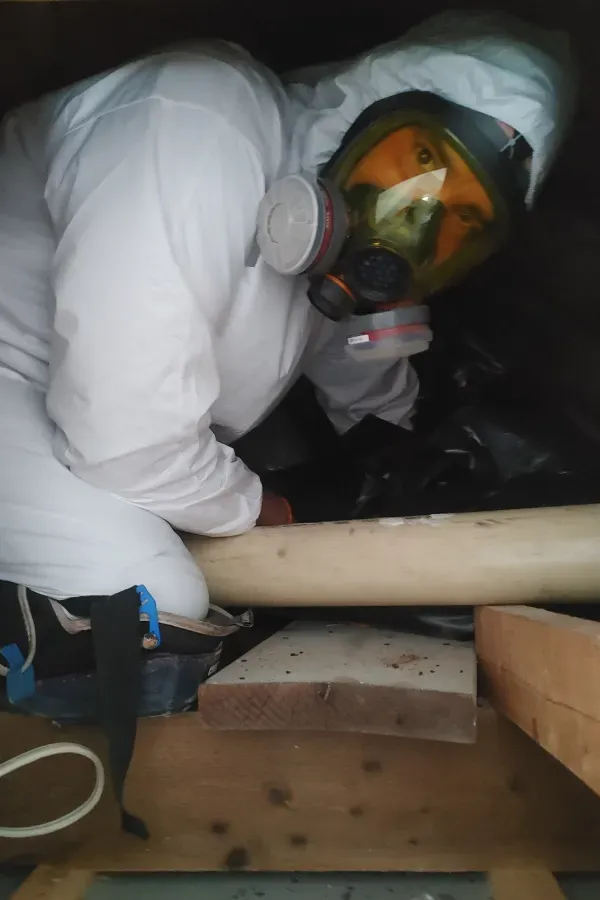 Worker in white protective suit and gas mask inside a crawl space, handling a pipe.