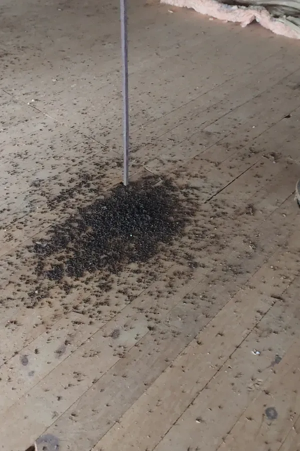 A pole beside a scattered pile of black debris on a tiled floor.