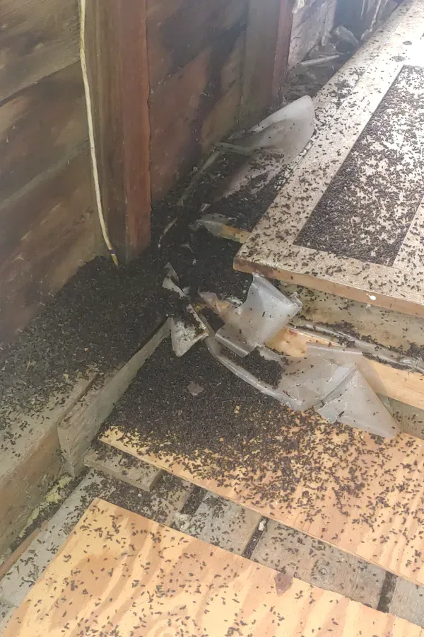 Charred debris and melted materials on a damaged floor beside a burnt wall and step stairwell.