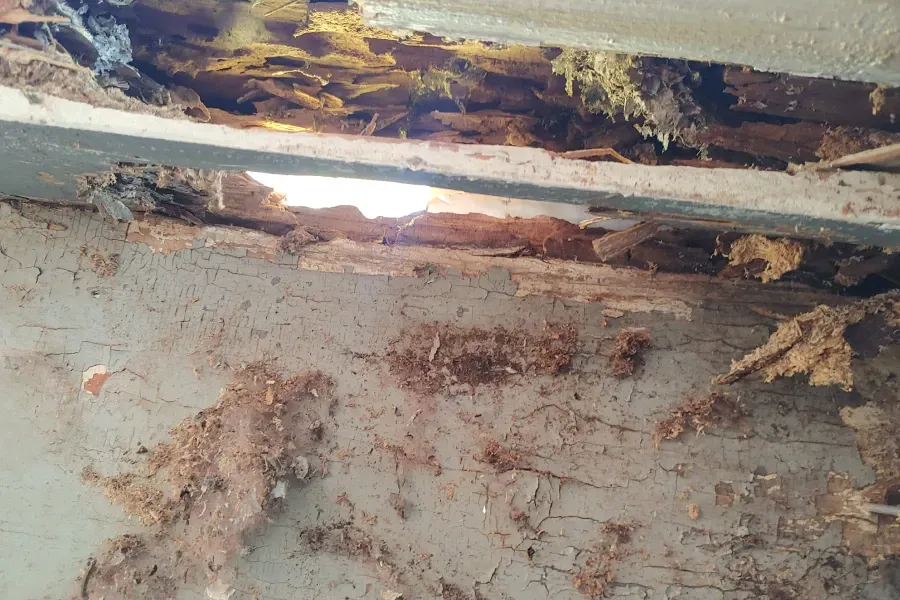 Rotting wooden beam and cracked wall with mold and water damage on a ceiling corner