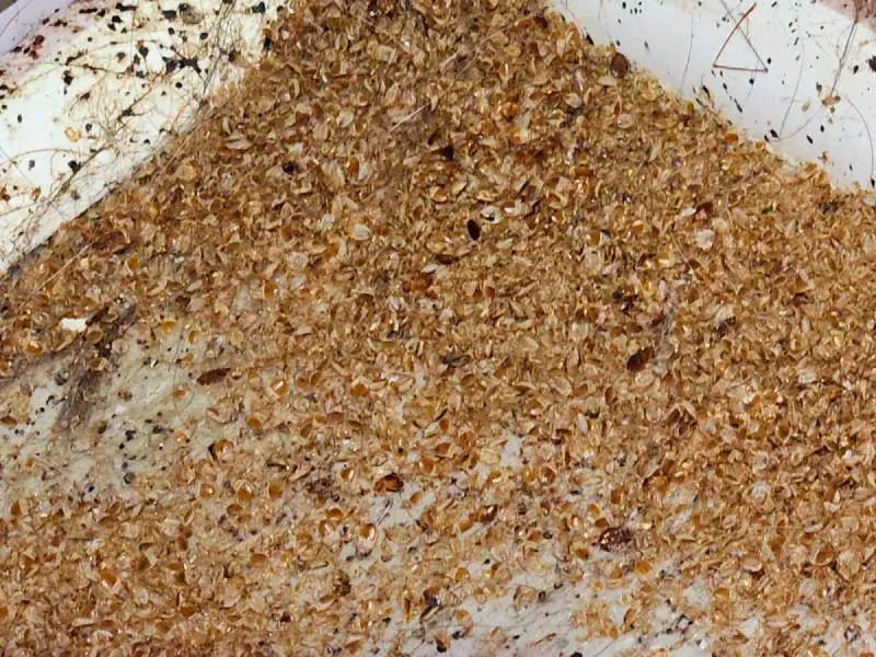 Close-up of a white surface covered with a pile of brown crumbs or grainy debris