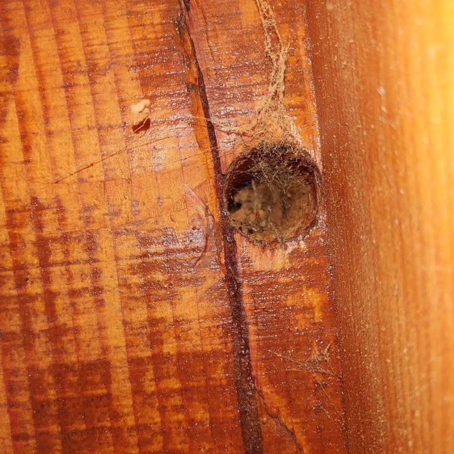 Close-up of a wooden surface with a small round hole and dark knot near a crack