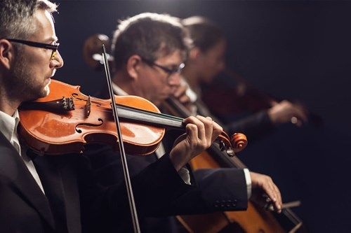 Violinists performing in a string ensemble