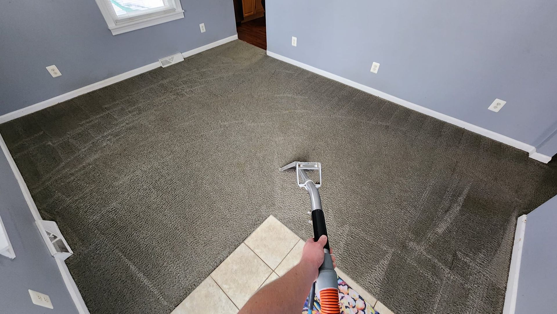 Pet Odor Removal Plymouth