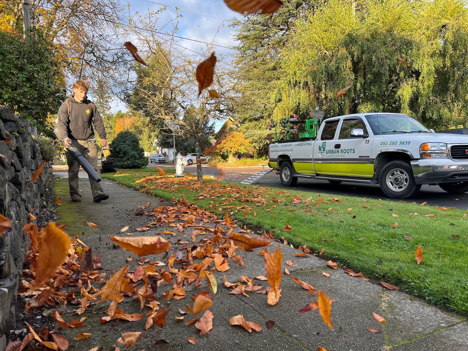 Property Clean Up