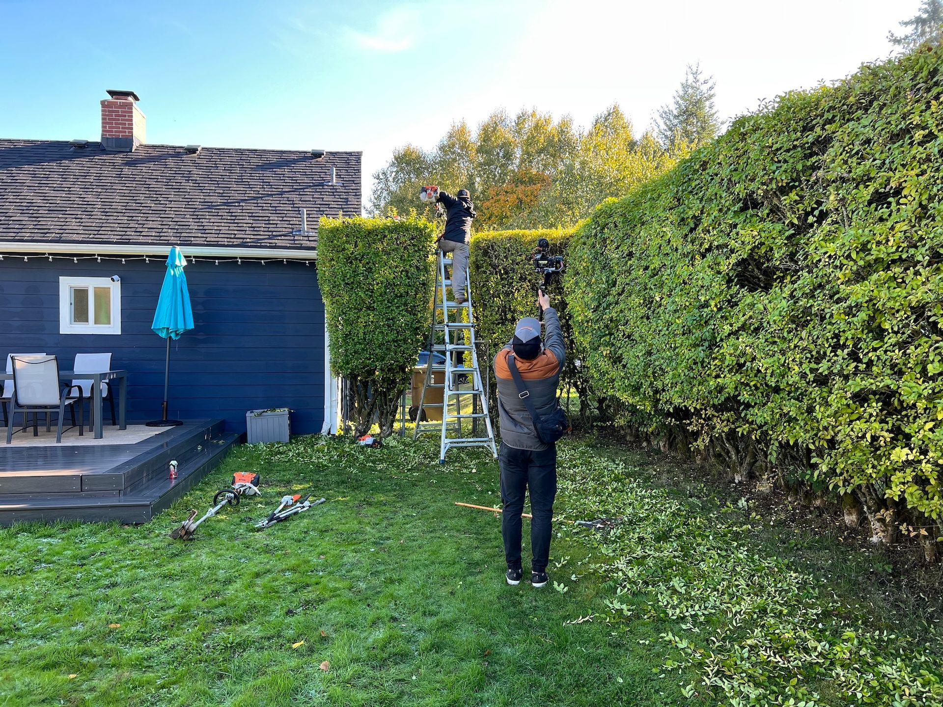 Trimming