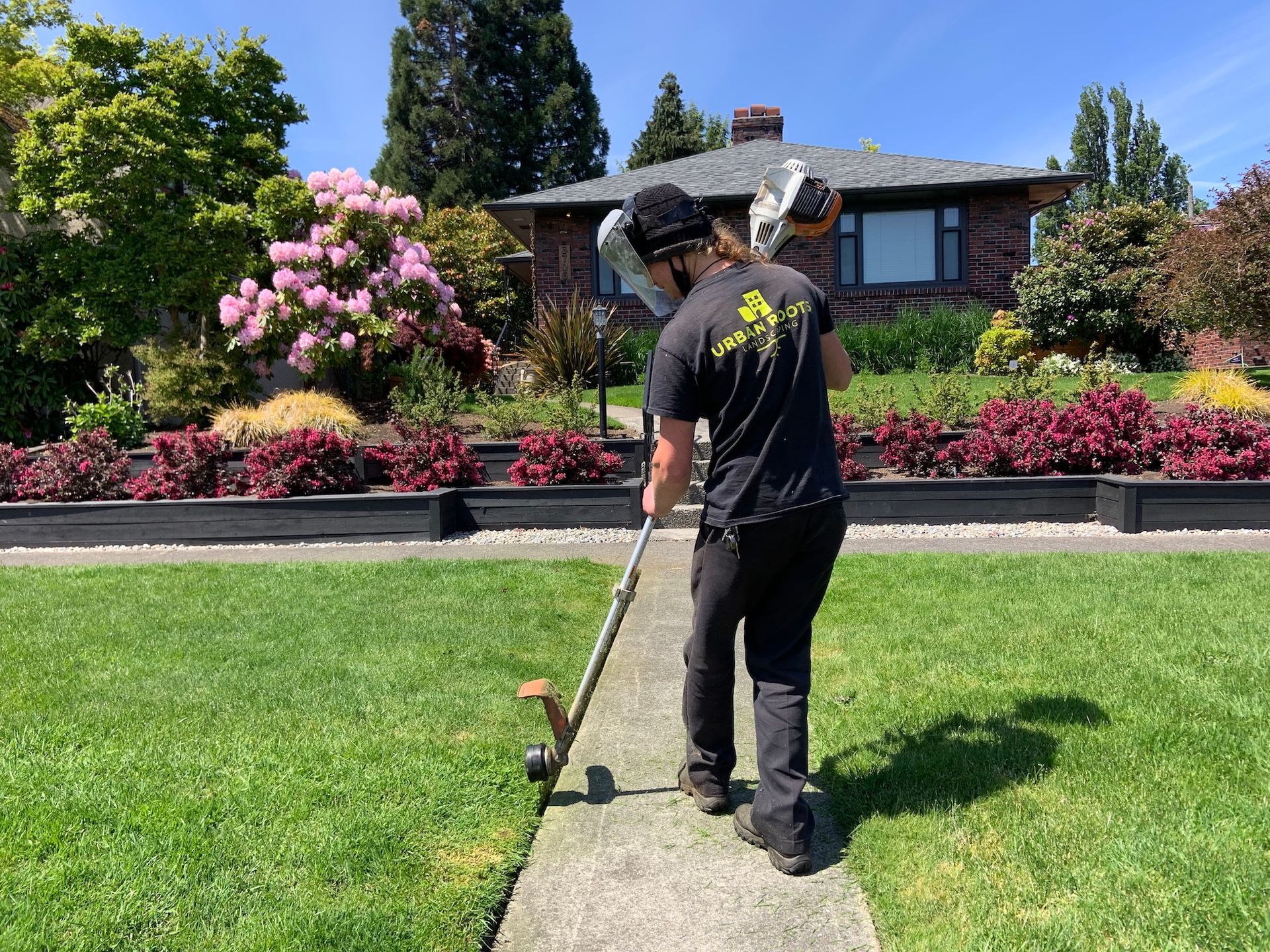lawn care