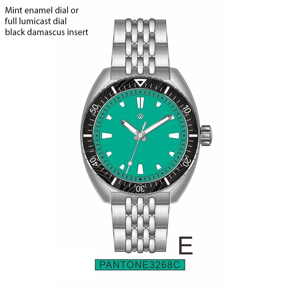 A mint enamel dial or full luminous dial black damascus insert watch
