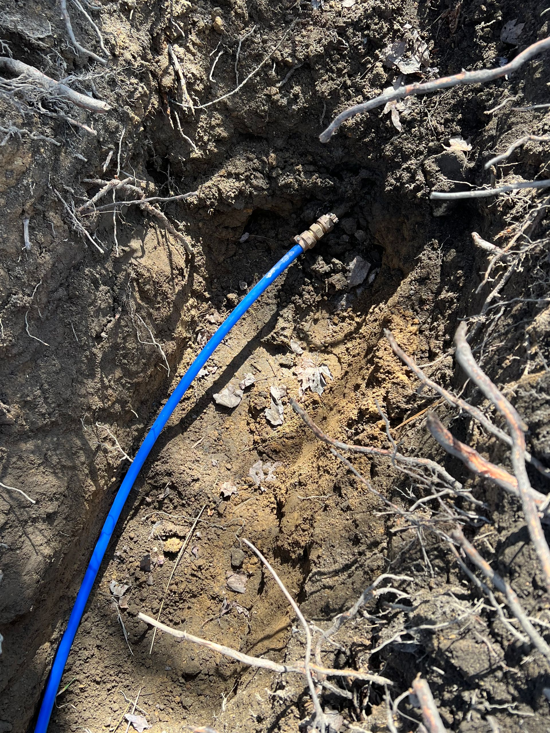 Blue hose extends from the ground, surrounded by dirt and dry brush.