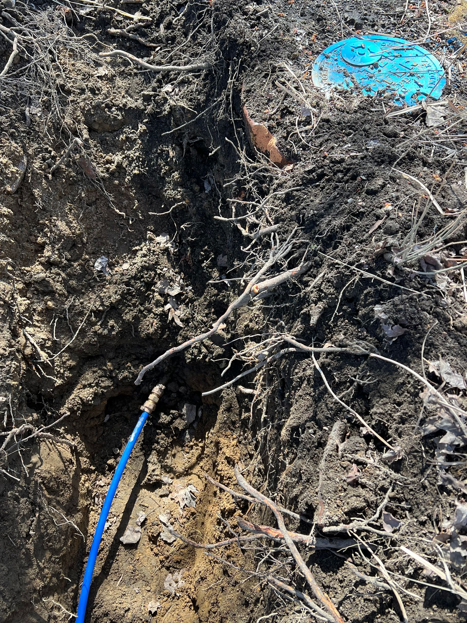 Close-up of dirt and debris. A blue pipe emerges from the soil near a damaged blue sprinkler head.