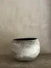 White ceramic bowl with a dark rim, sitting against a plain beige wall.