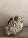 A gray-white rock with rough, speckled surfaces sits on a floor against a plain wall.