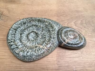 Little Urchin Cornish Polyphant £230