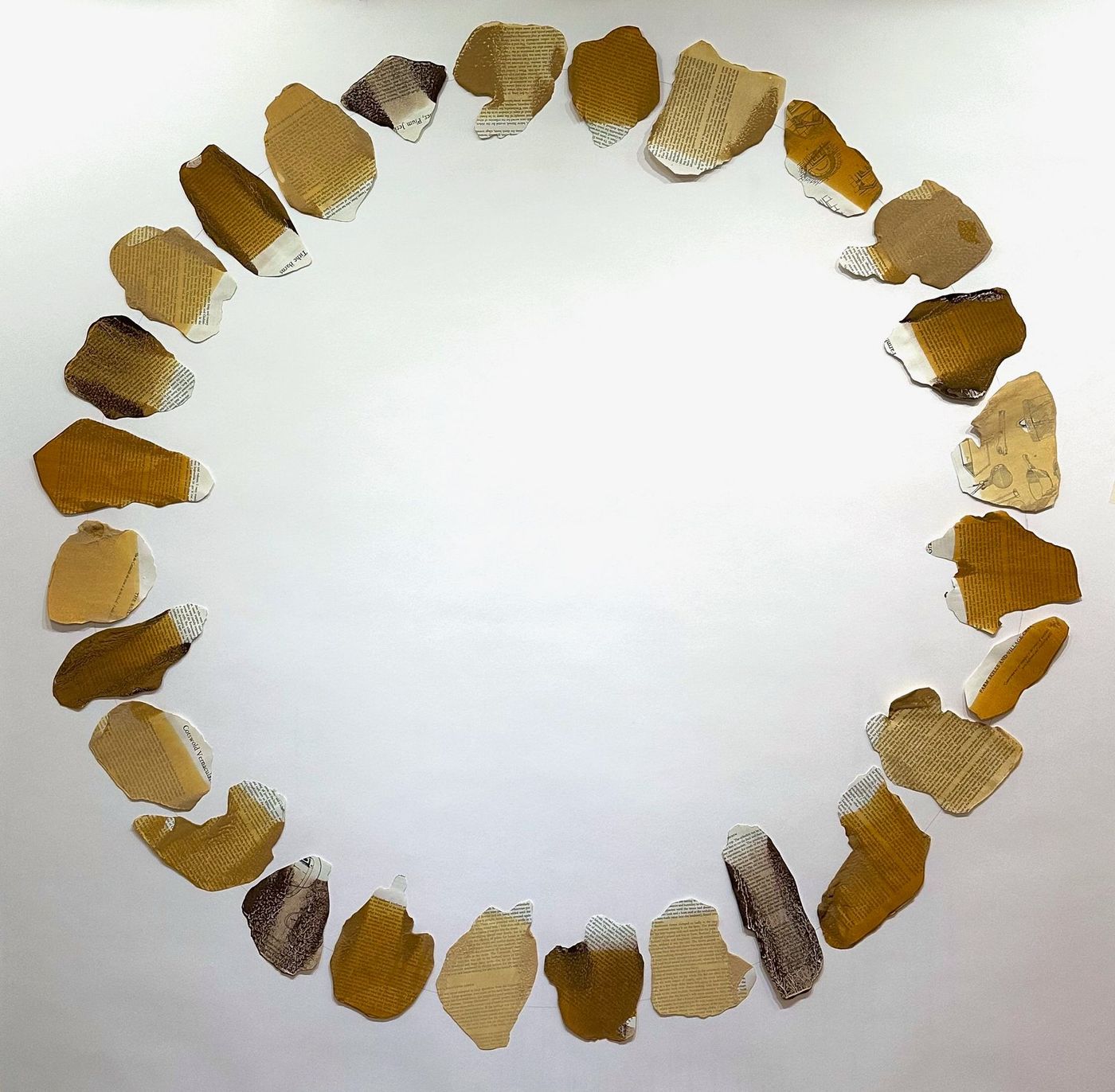 A circular ring of small yellow-brown seashells on a white background.