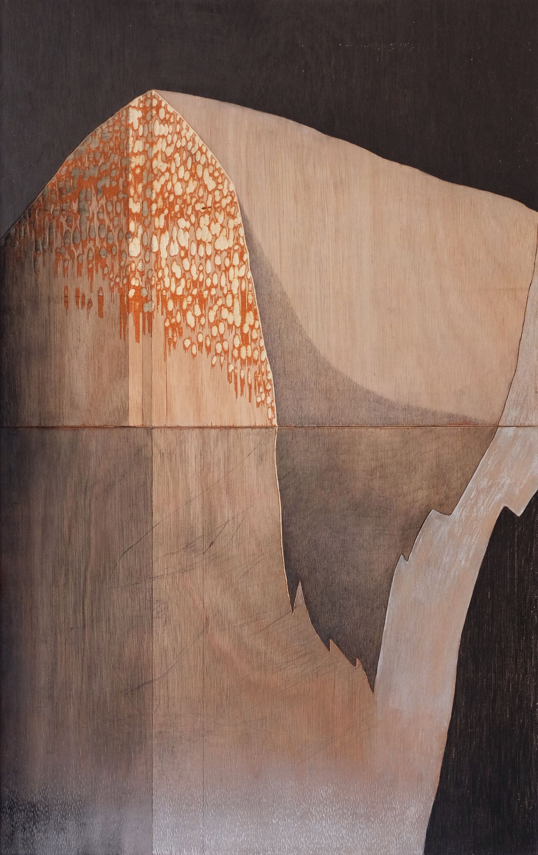 Uncharted Topographies I Pencil, Paint, Charcoal, Graphite and Carving on Plywood 63cm x 97.5cm £2,500