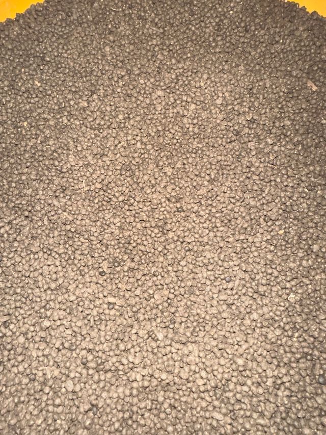 Close-up view of light-colored, granular textured material, resembling small pebbles or coarse sand in a container.