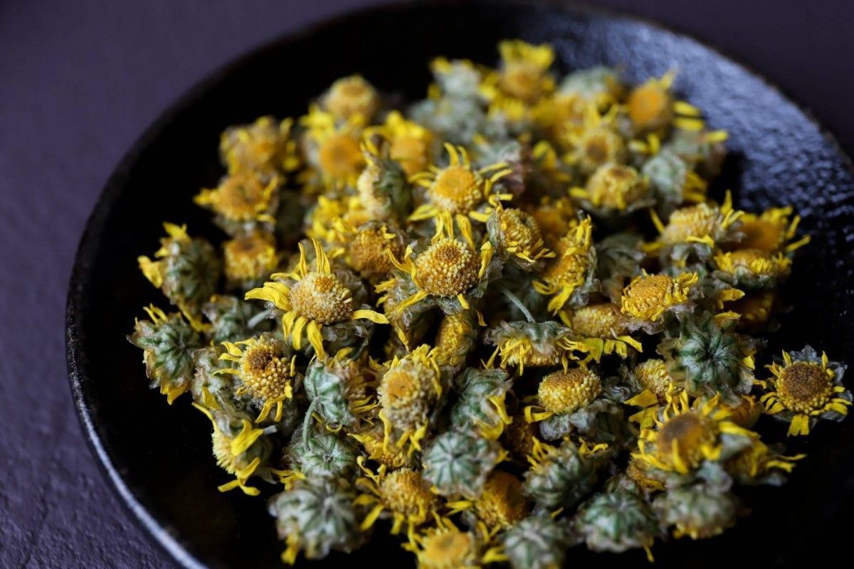 花蓮赤柯山有機小油菊乾3瓶