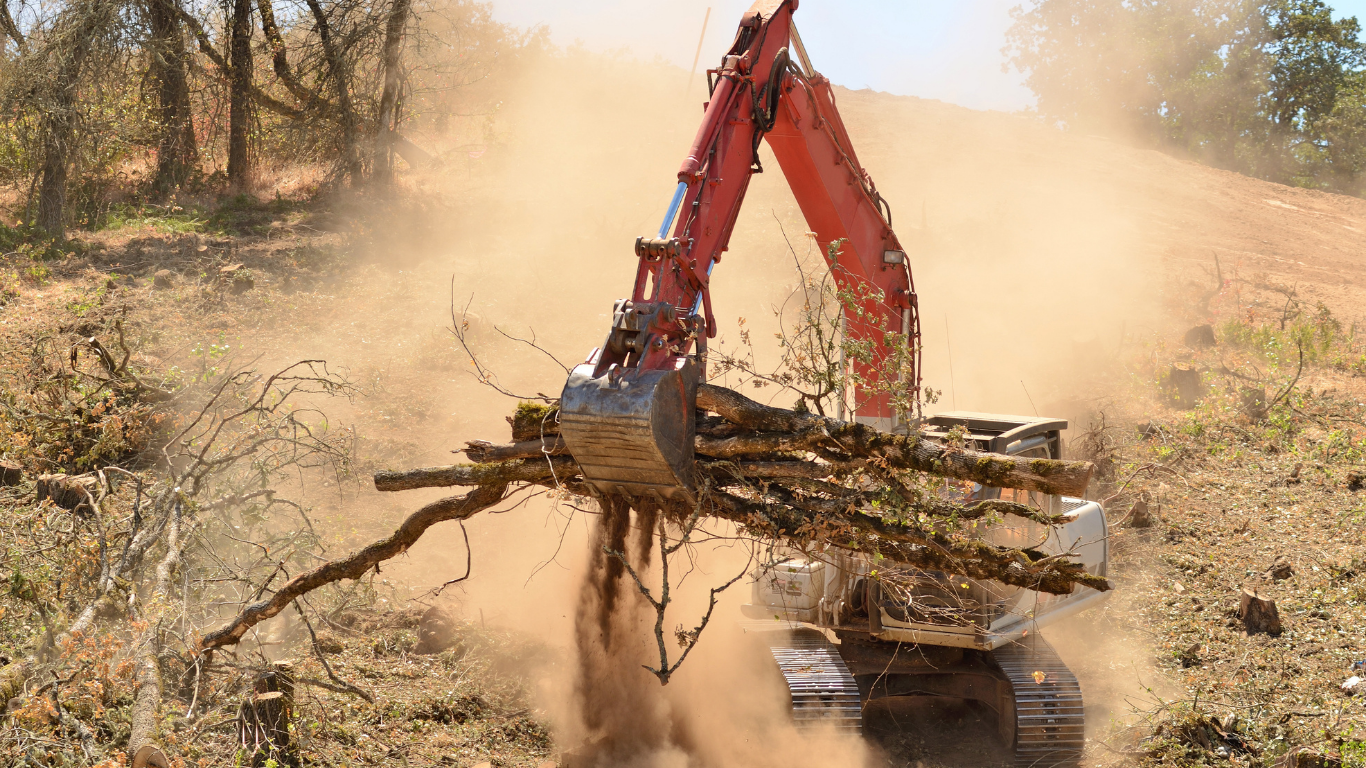 Red excavator uproots a large tree stump in a dusty field under bright sun
