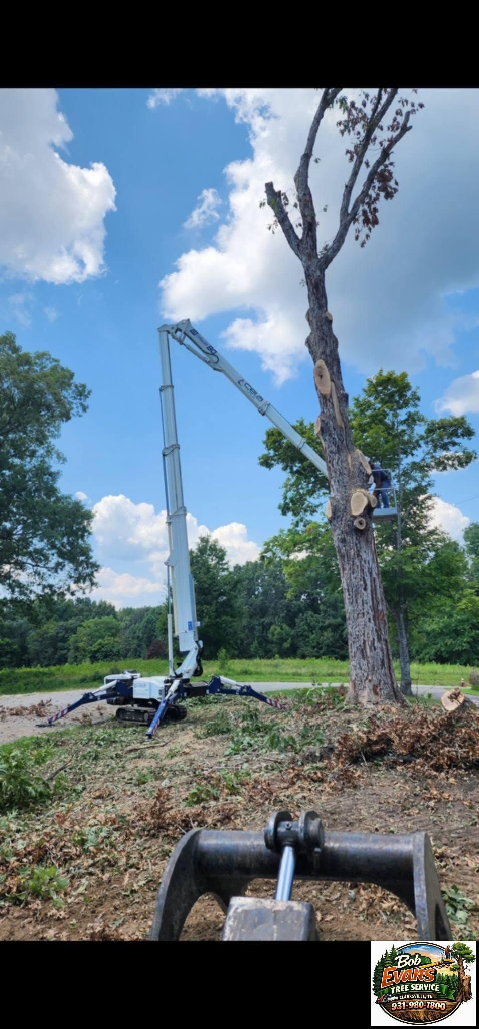 Excavator lifting a fallen tree in a grassy field under a blue sky with clouds