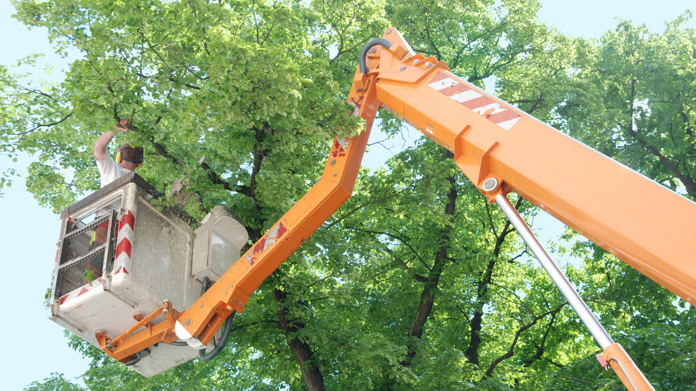 Orange cherry picker lifting a worker in a bucket beside leafy green trees