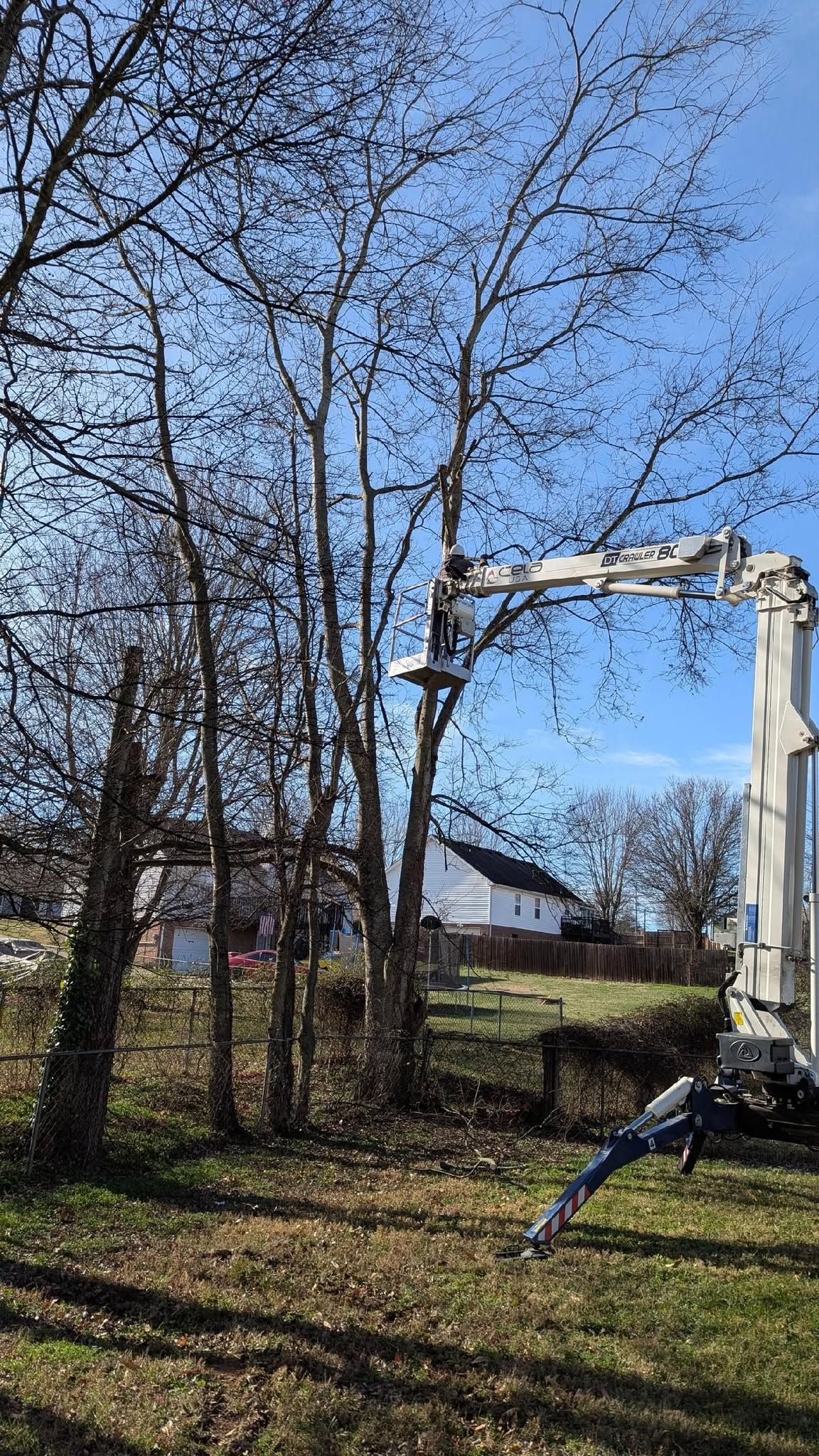 White utility boom truck near leafless trees in a grassy yard under a blue sky