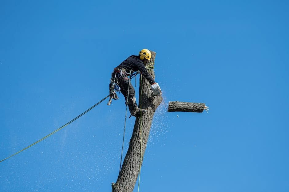 Worker in a yellow helmet trimming a tall tree against a clear blue sky
