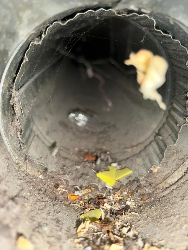 Inside of a dirty corrugated pipe with debris and a small yellow leaf at the bottom.