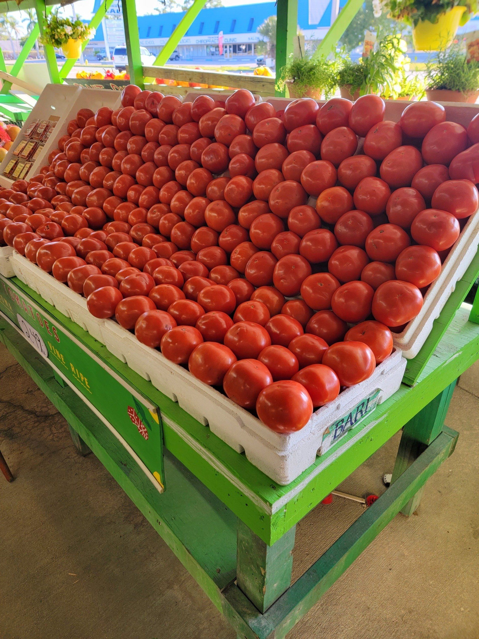Tomatoes displayed in a green stall at a market, arranged in rows on a white foam platform.