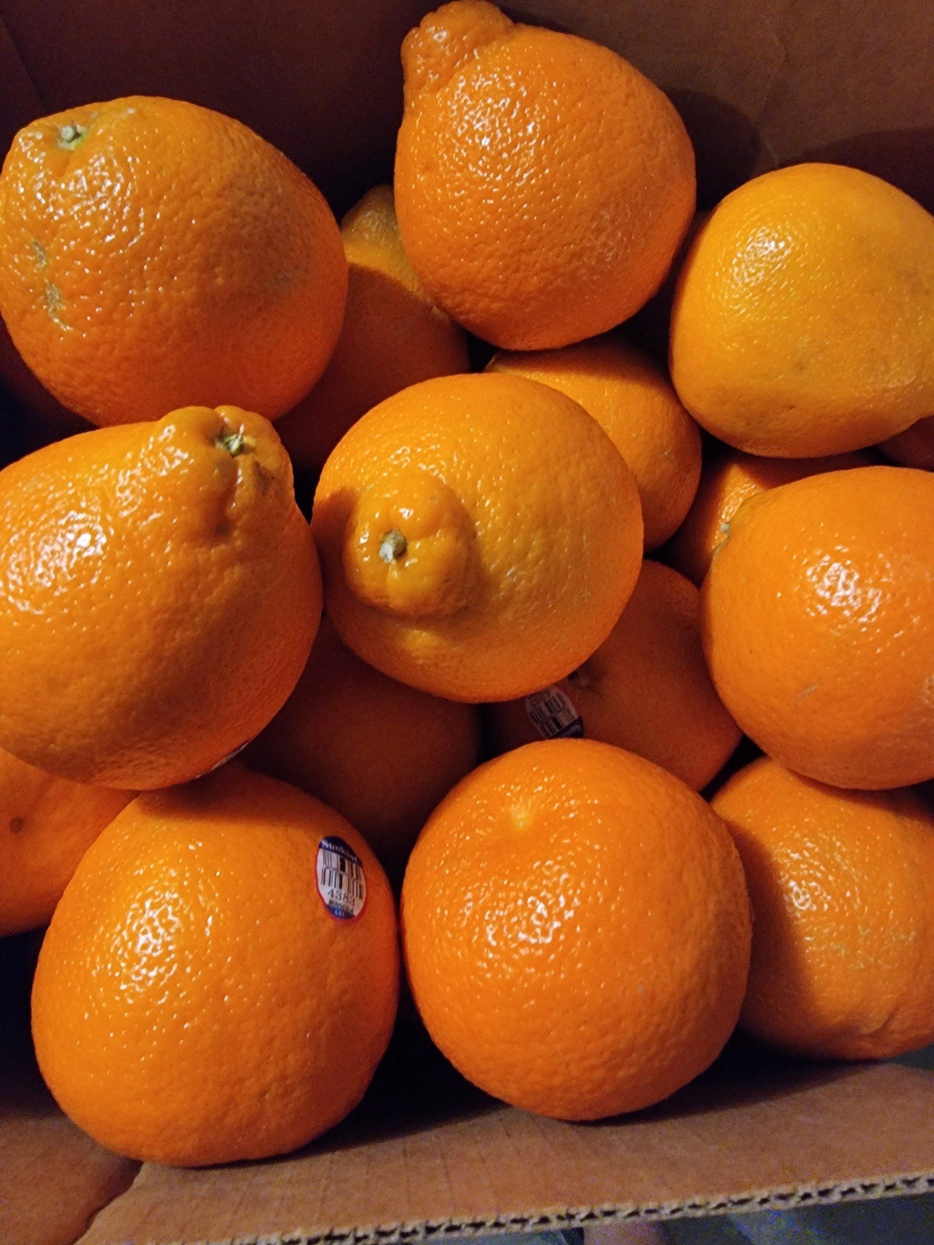 A box of bright orange, textured oranges with varying shapes.