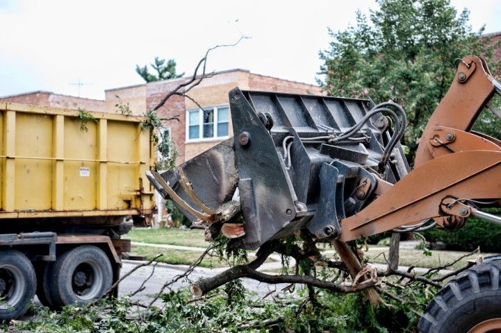 An image of Tree Removal in Edina MN